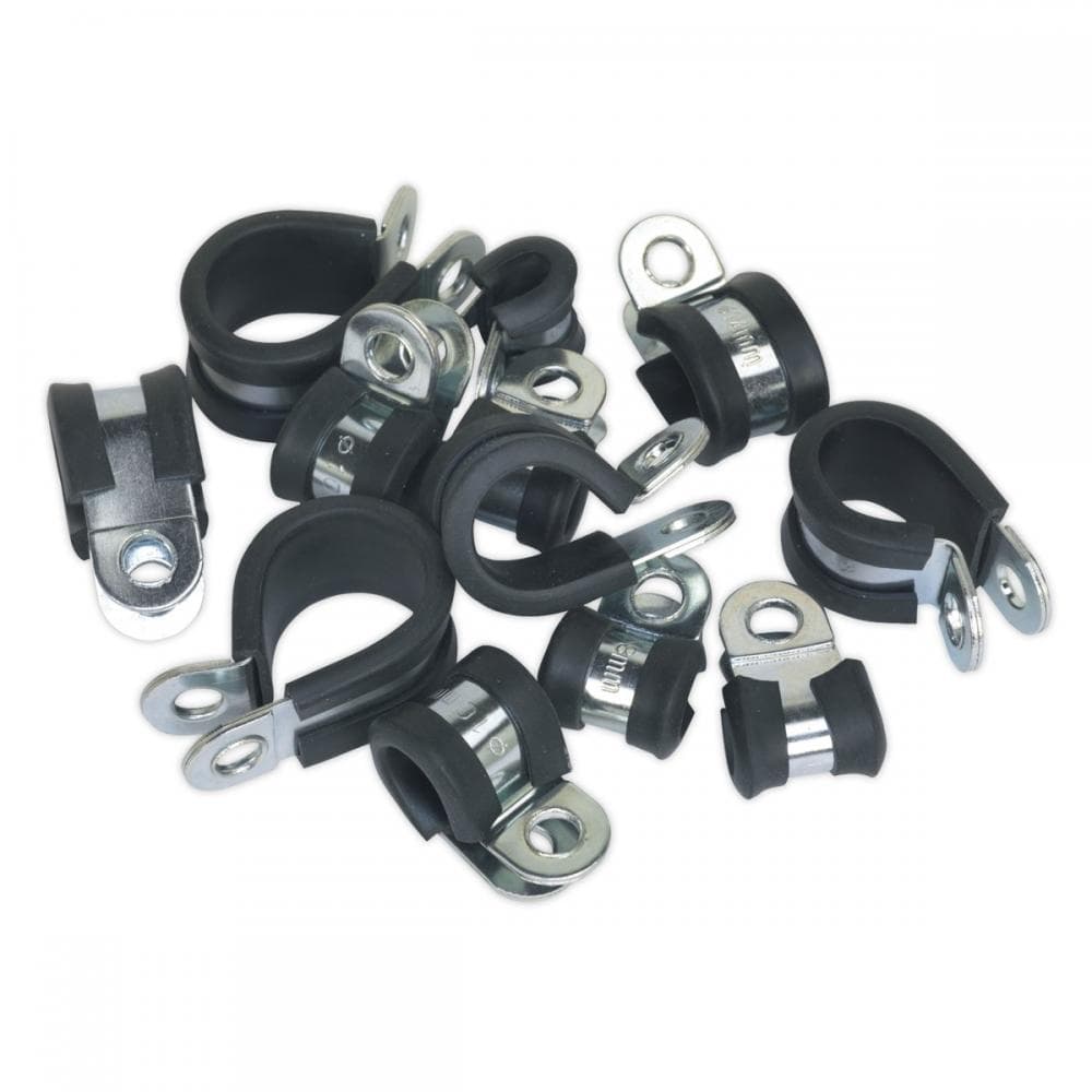 Sealey PCJASS P-Clip Rubber Lined Assortment 60Pc