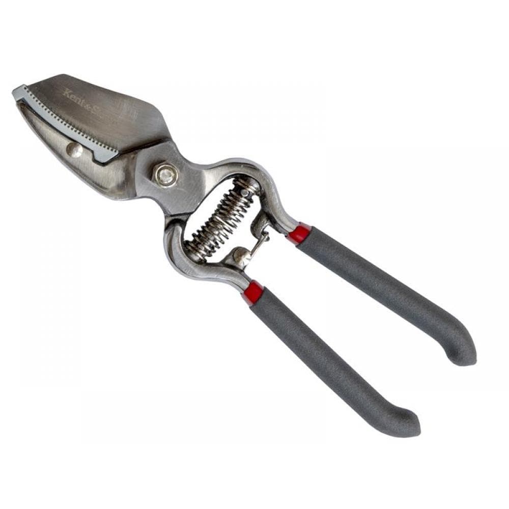 Kent & Stowe 70100481 Traditional Anvil Secateurs