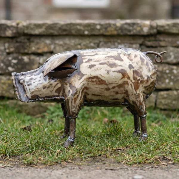 Pig – Medium