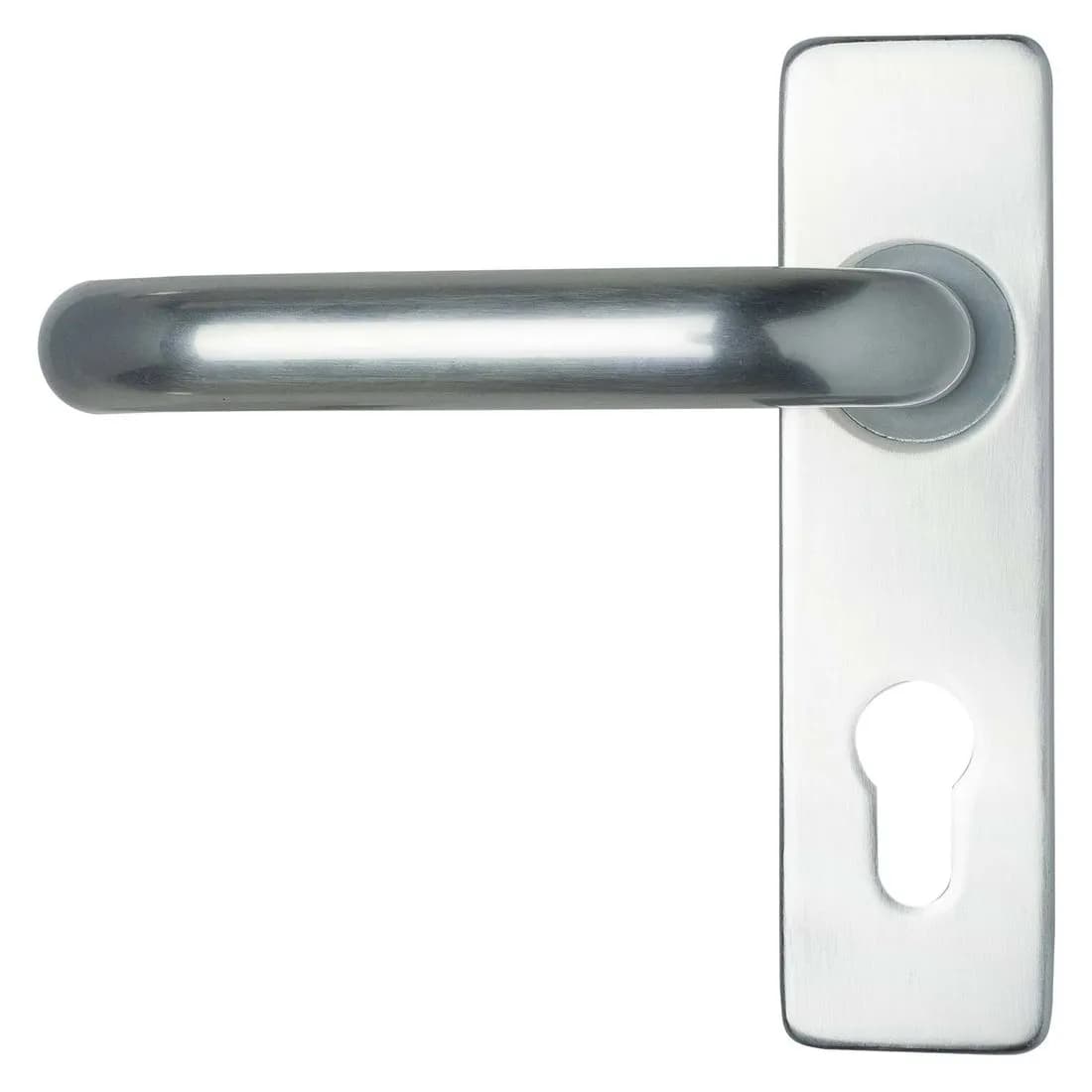 Efb Euro Handle On Backplate Saa