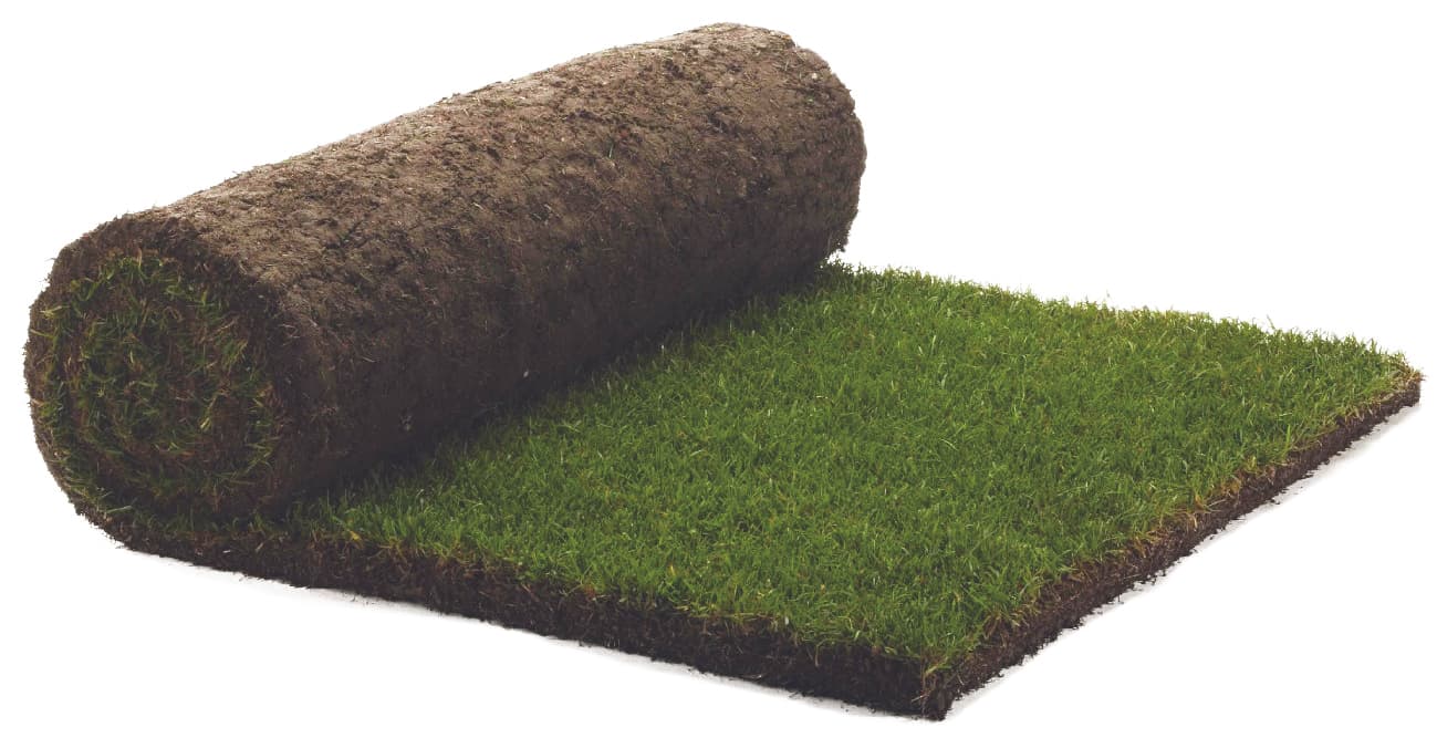 Rolawn Medallion Finest Multi Purpose Grass Turf Roll 1m2 RB000010