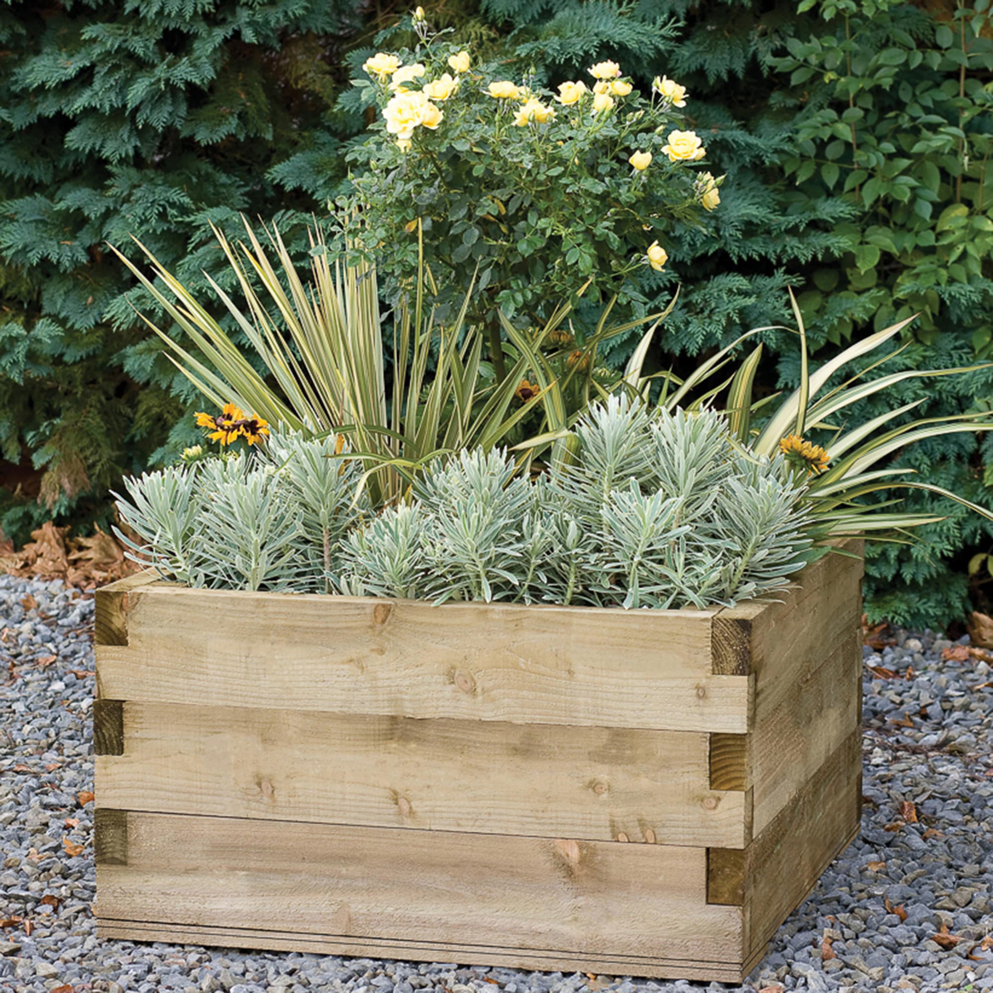 Caledonian Square Raised Bed - with Base - Home Delivery