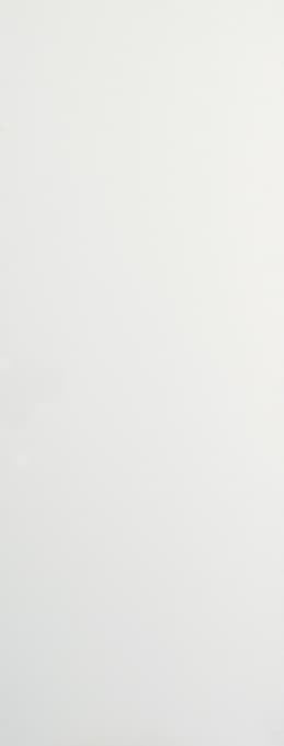 Premdor Flush Primed Fibreboard Door 1981 x 381 x 35mm