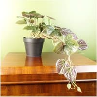 Dyzi Artificial Cascading Plant In Black Pot 35cm - Purple