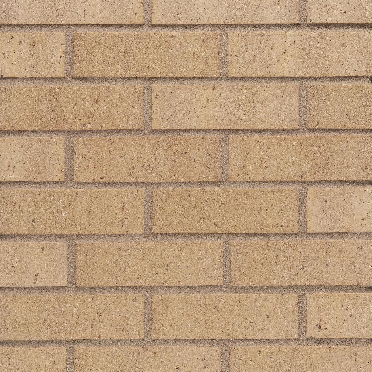 Wienerberger Facing Brick Sandown Nevada Buff - Pack of 400