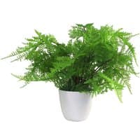 Dyzi Artificial Lady Fern Plant In White Pot 30cm - Green