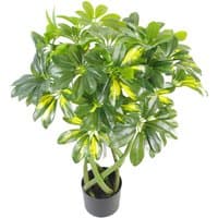 Dyzi Artificial Gold Capella Twisted Stem Potted Plant 70cm - Green