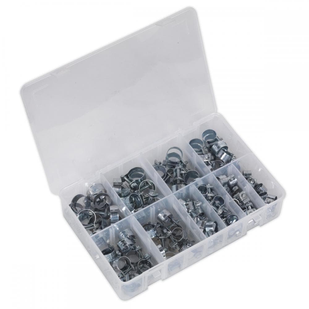 Sealey AB042MH Mini Hose Clip Assortment 100Pc