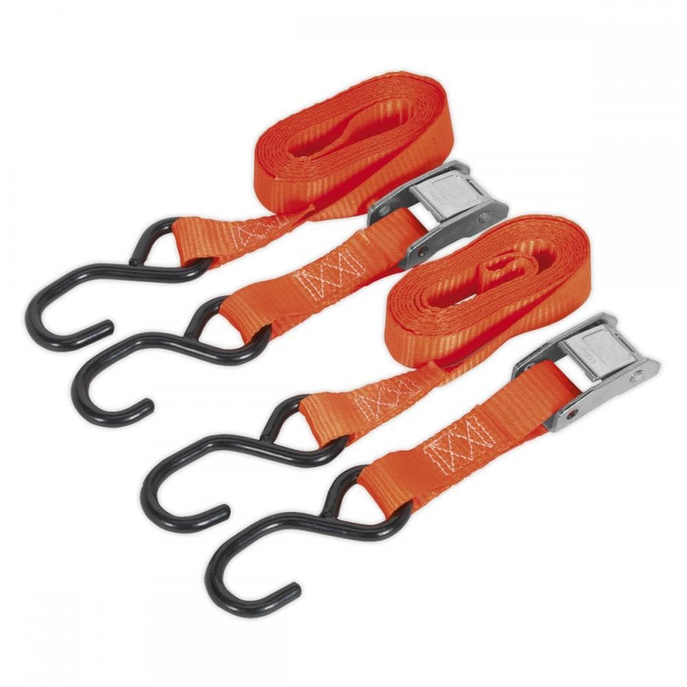 Sealey TD05025CS Cam Buckle Strap 25Mm X 2.5M Polyester Webbing With S-Hooks 500Kg Breaking Strength