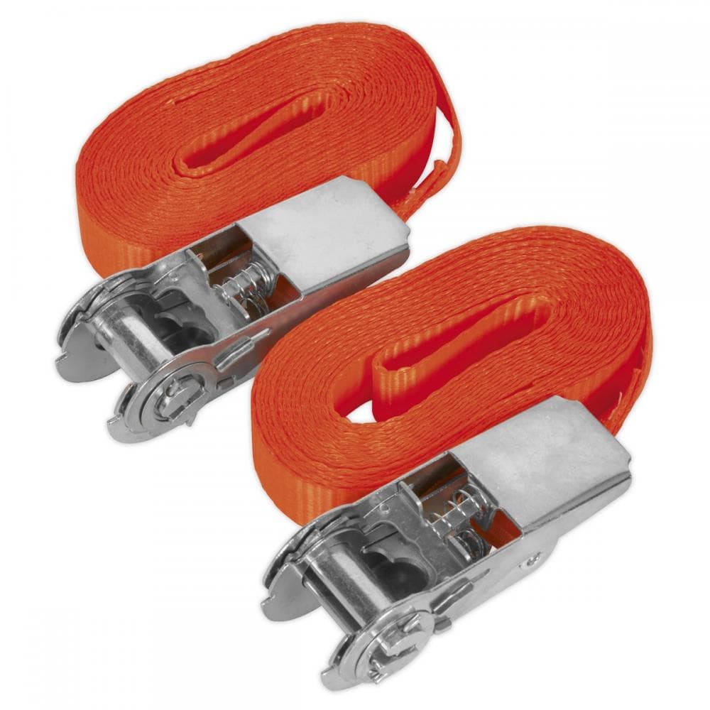 Sealey TD08045E Self-Securing Ratchet Straps 25Mm X 4.5M 800Kg Breaking Strength - Pair