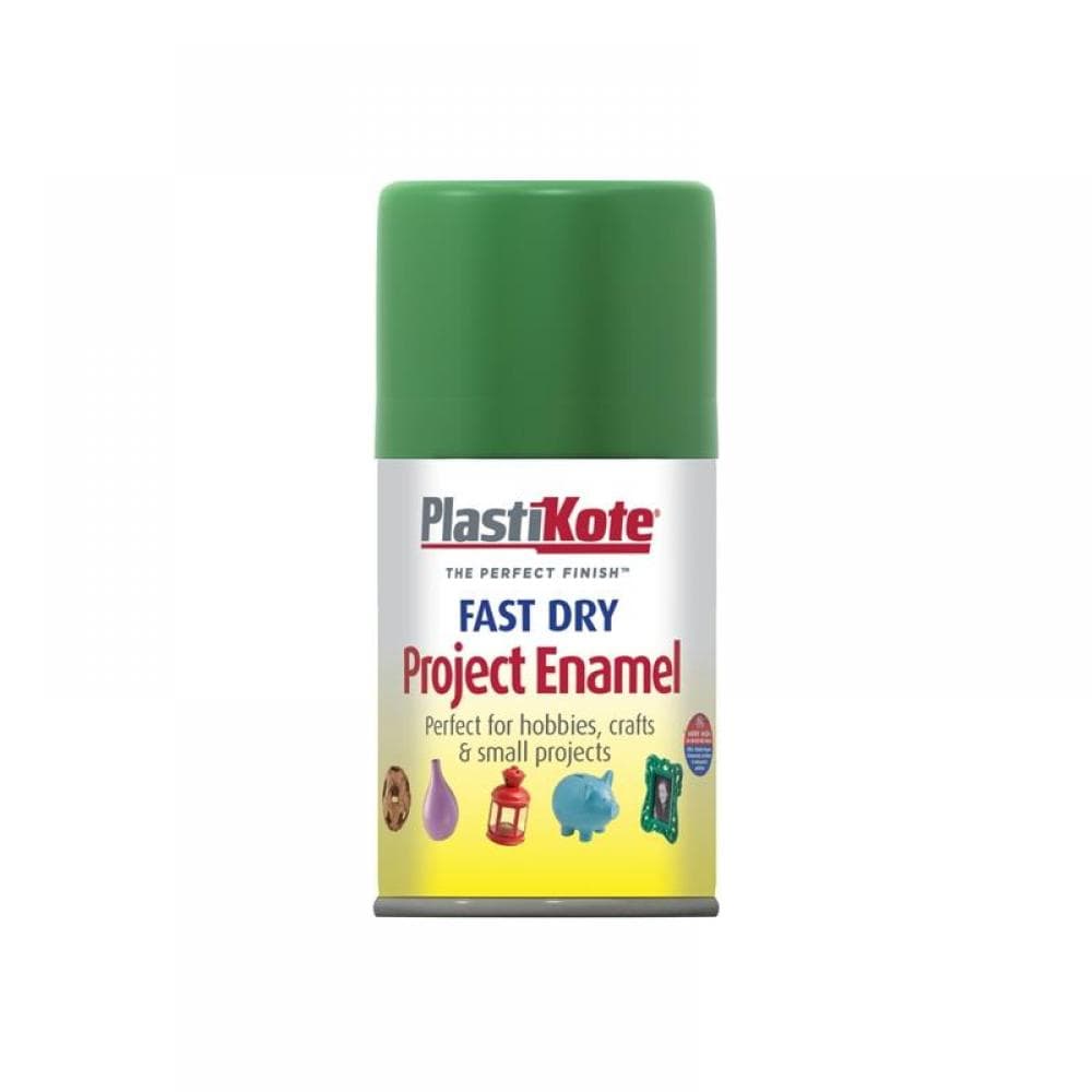 Plastikote 001040 Fast Dry Enamel Aerosol Garden Green 100Ml