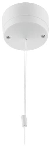 6A 1W Ceiling Sw 801-01