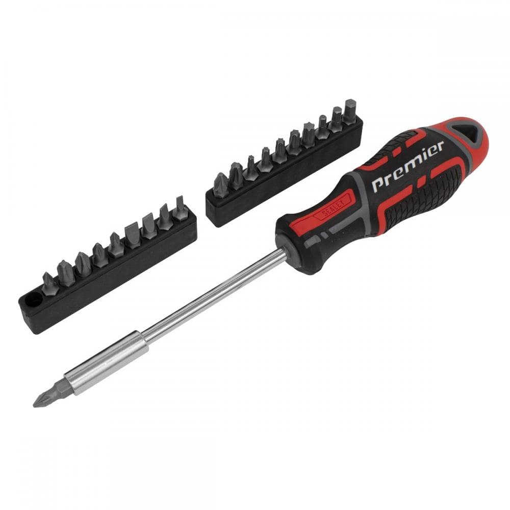 Sealey AK4329 Screwdriver & Bit Set 21Pc Gripmax®