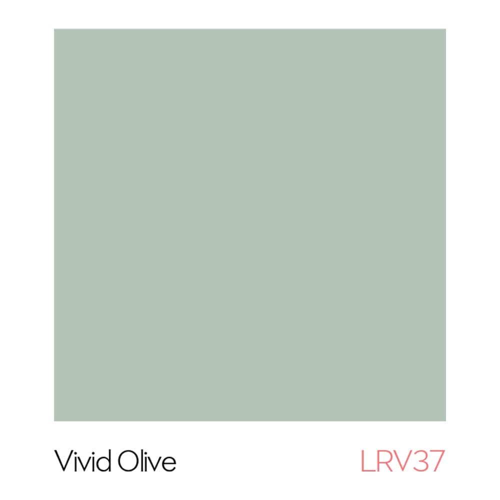 Hi-Clad Division Bar Two Part | H Trim - Top & Bottom 3000mm Vivid Olive