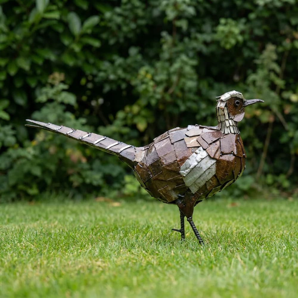 Pheasant