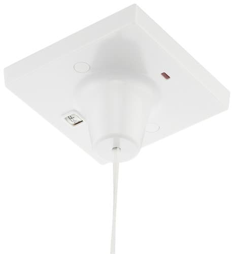 45A Dp + Ind Ceiling Sw 803-01