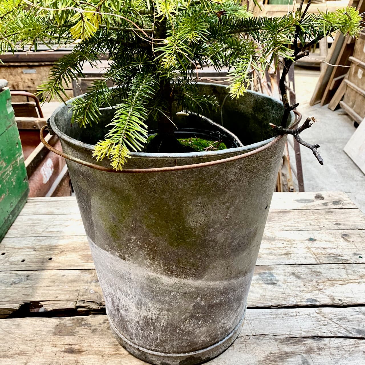 Galvanised Container with Rusty Wonky Handle