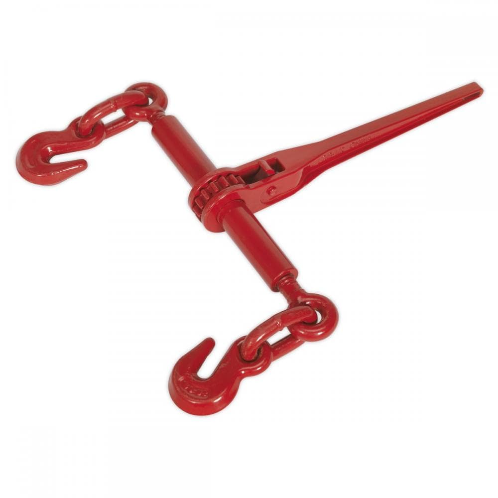 Sealey LB002 Ratchet Load Binder 9.5-12.7Mm 4200Kg Capacity