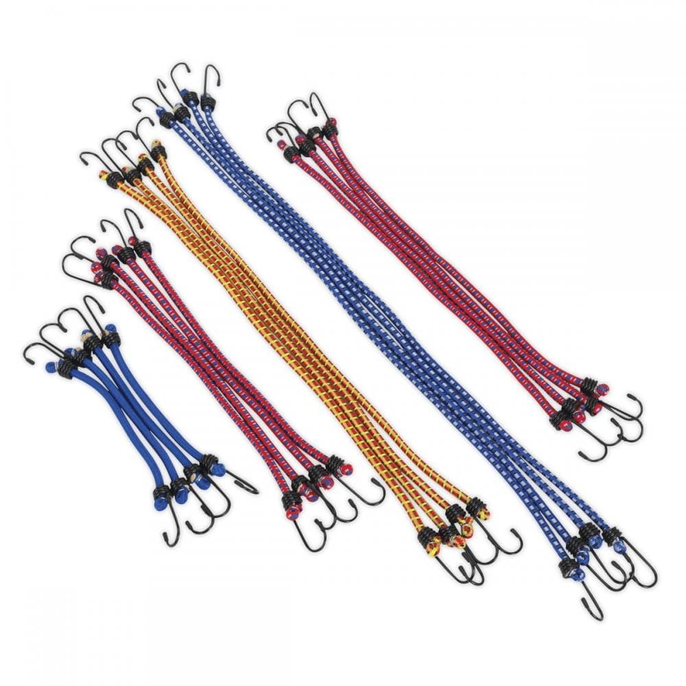 Sealey BCS20 Elastic Cord Set 20Pc