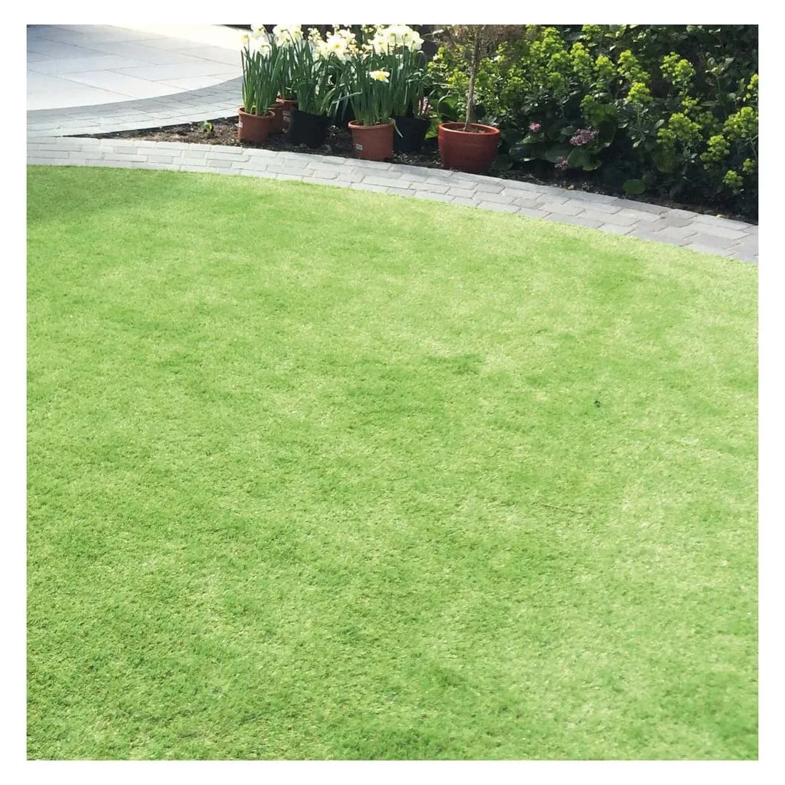 Luxigraze Artificial Grass Premium 30 2M X 5M 10M2 Roll