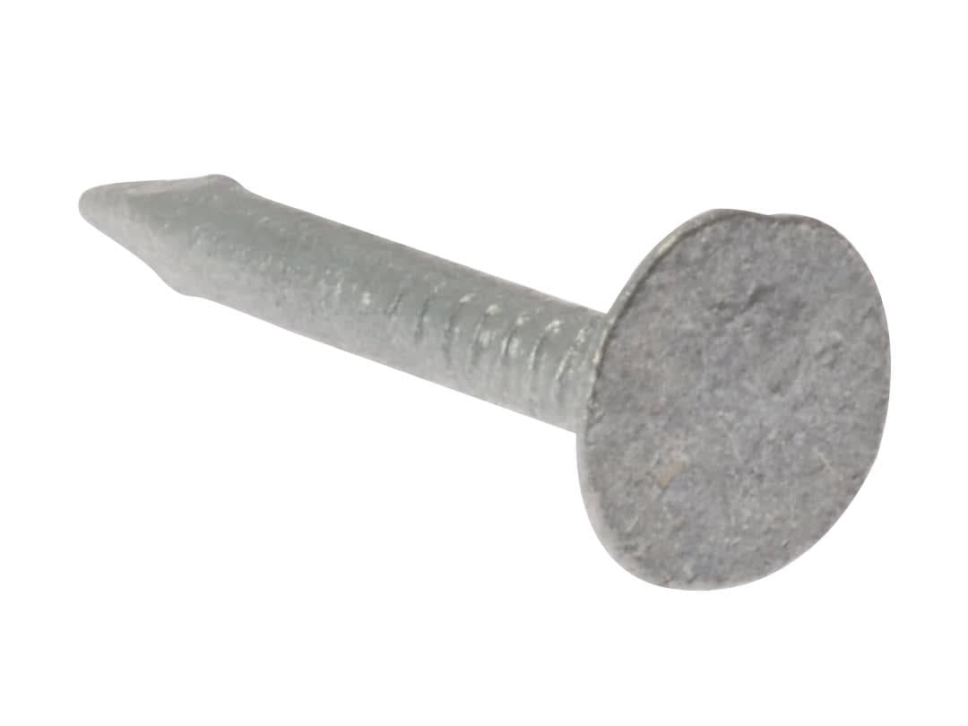 ForgeFix Clout Nail Extra Large Head Galvanised 30mm (500g Bag) 500NLELH30GB