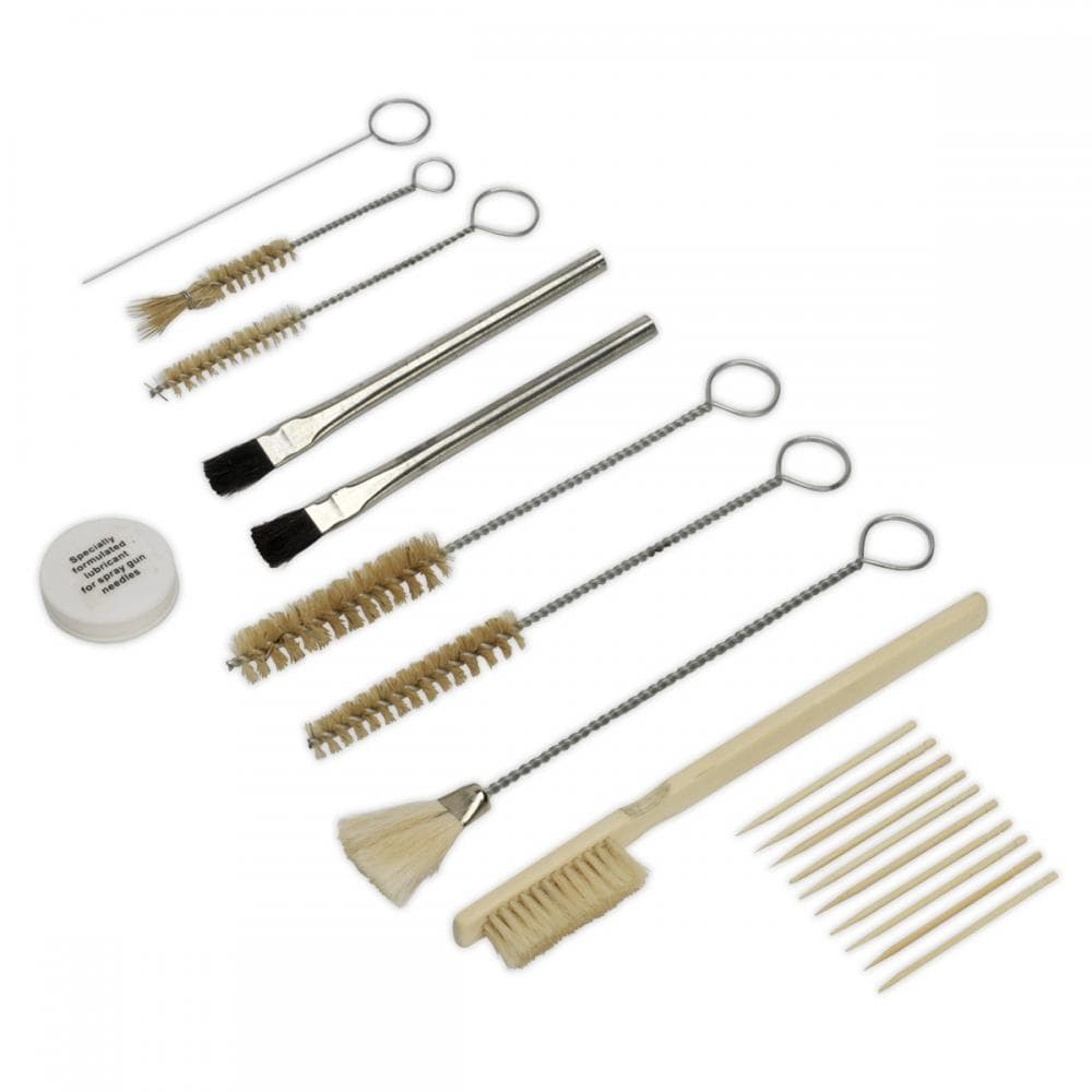 Sealey BSGC2 Spray Gun Cleaning Set 20Pc