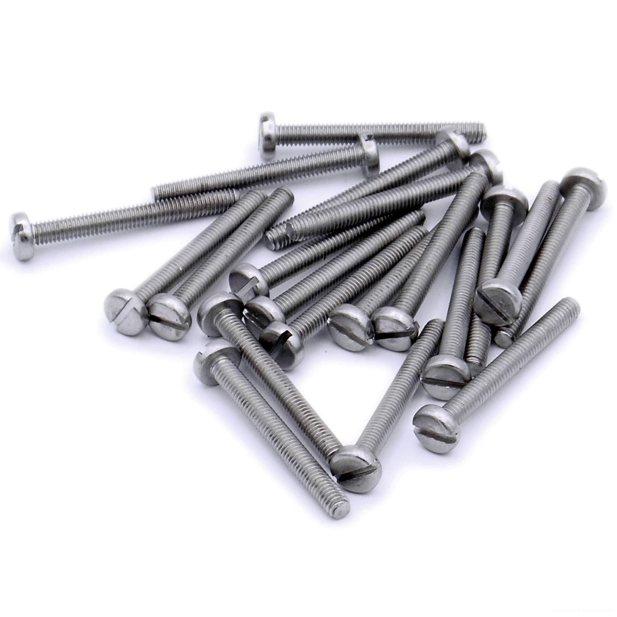 M4 Slot Pan Screws DIN85 A2 Stainless