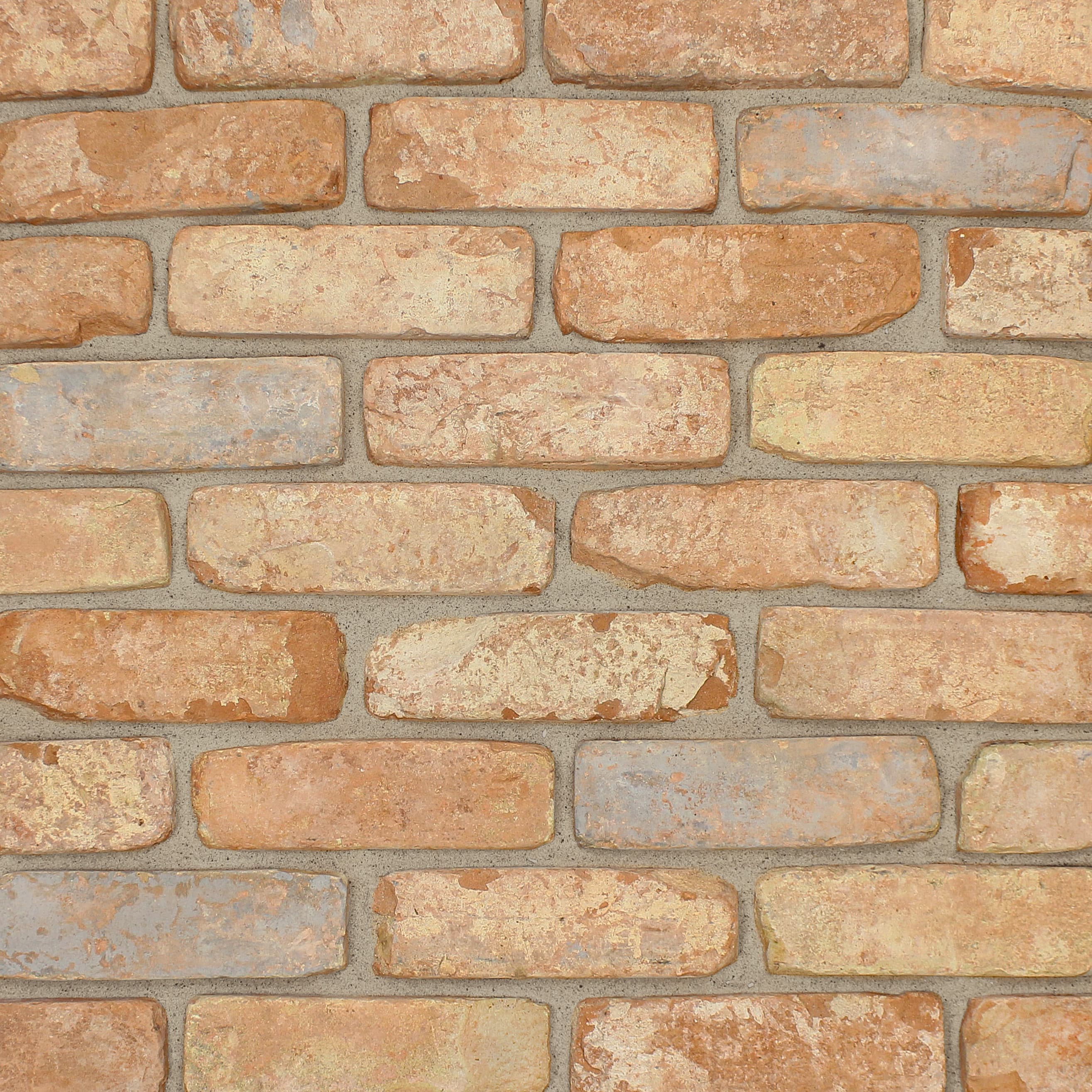 Brick Slips Tile Blend 6 - Sample Panel