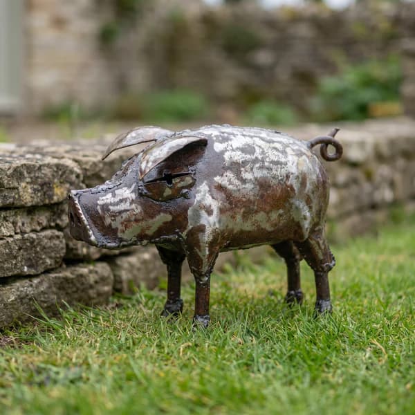 Pig – Small