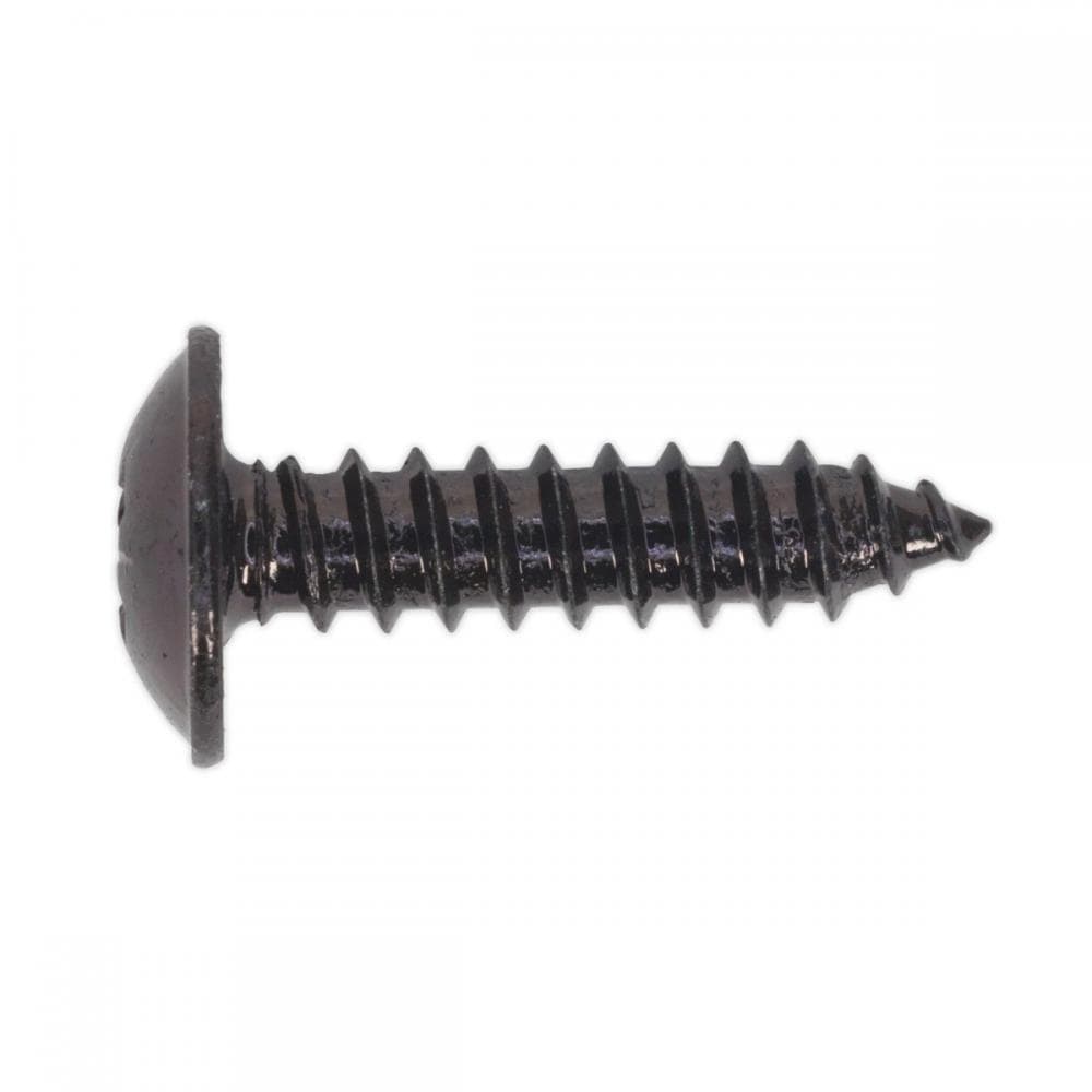 Sealey BST4819 Self-Tapping Screw 4.8 X 19Mm Flanged Head Black Pozi Pack Of 100