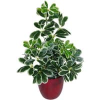 Dyzi Artificial Foliage Plant with 450 Leaves - Green