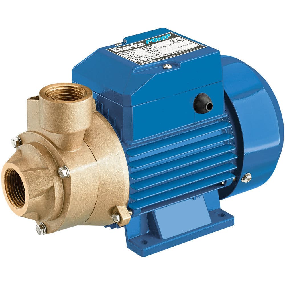 Clarke 7230327 Ceb103 1 Electric Centrifugal Water Pump (230V)