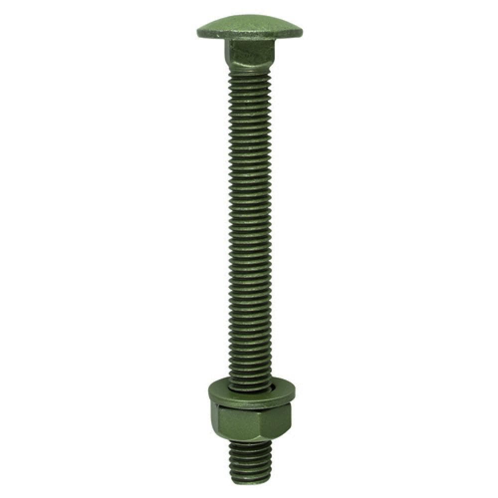 Timco 10160INCB Carriage Bolts Hex Nuts & Form A Washers - Dome - Exterior - Green M10 X 160 Bag 10