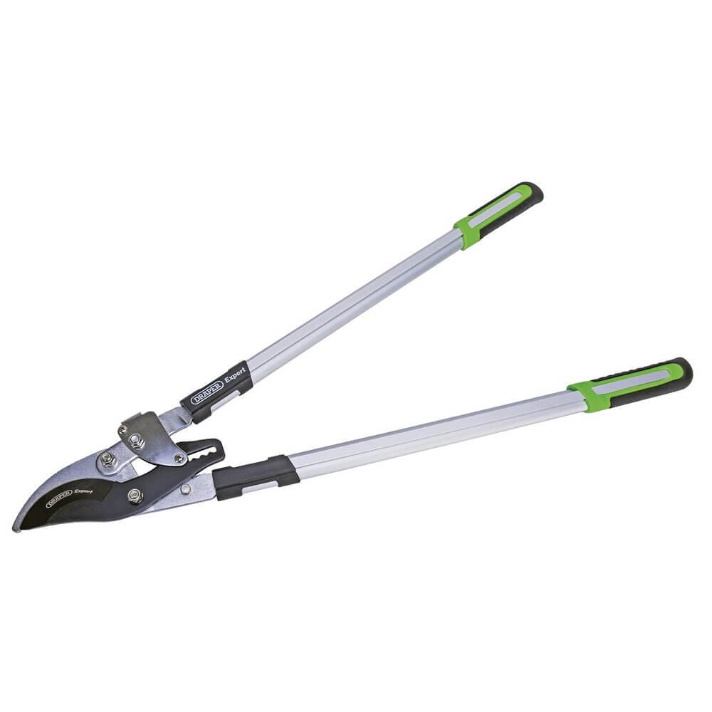 Draper Expert 94985 Ratchet Action Bypass Pattern Loppers 750Mm each 1