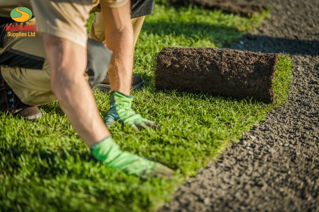 Turf