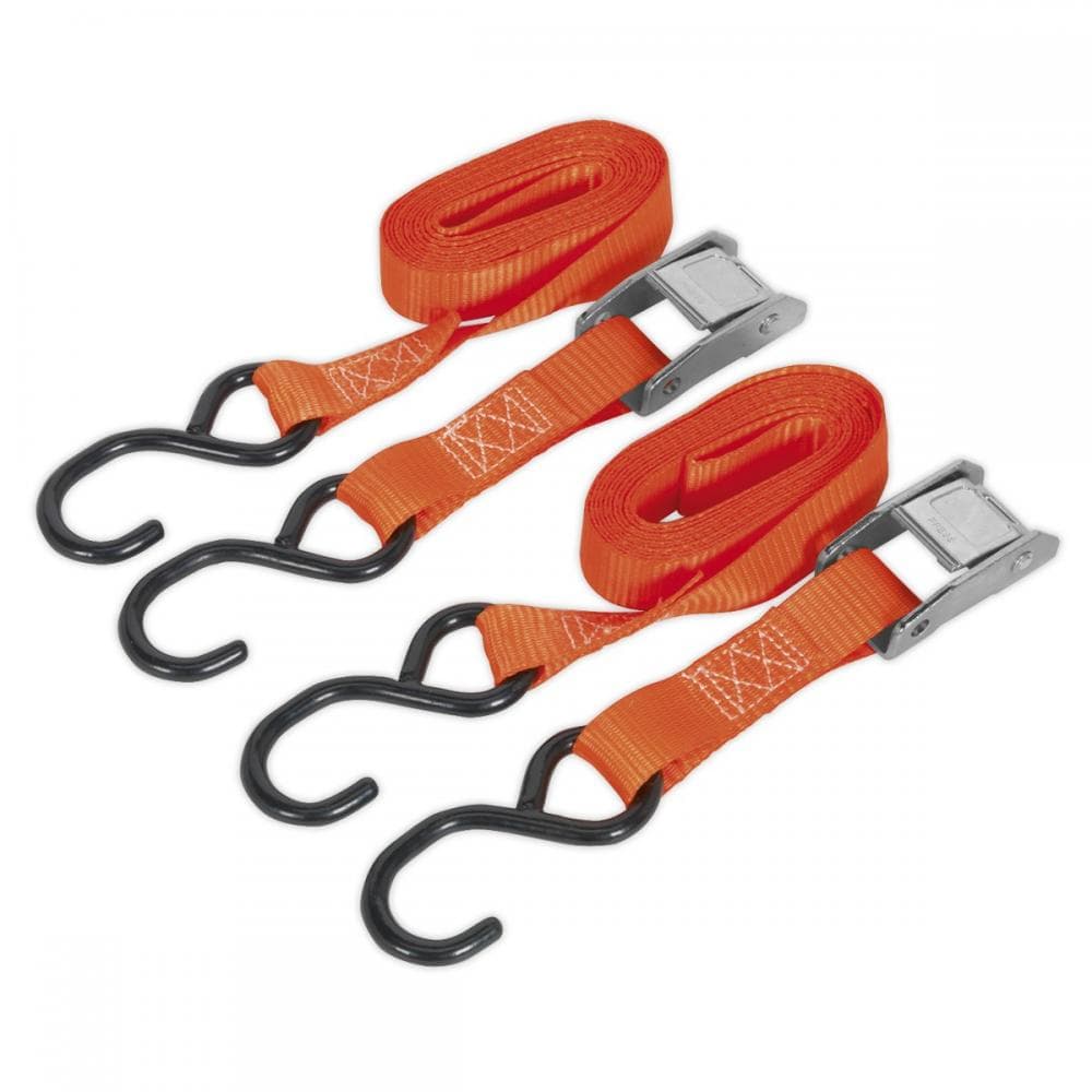 Sealey TD2525CS Cam Buckle Strap 25Mm X 2.5M Polyester Webbing With S-Hooks 250Kg Breaking Strength