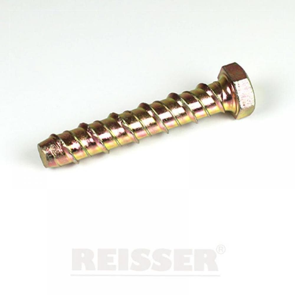 Reisser REI10150CB Concrete Bolts M10 X 150Mm (Box Of 25)