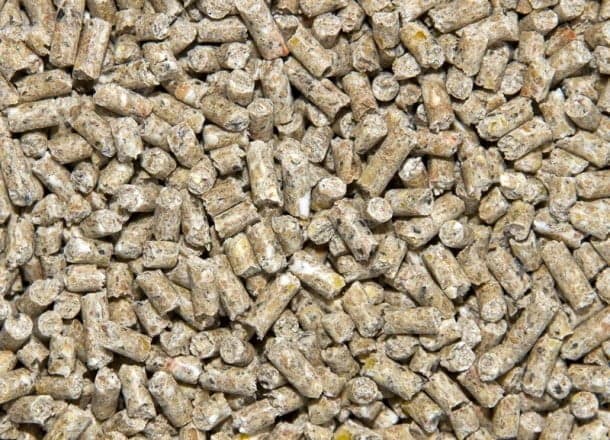 Layers Pellets